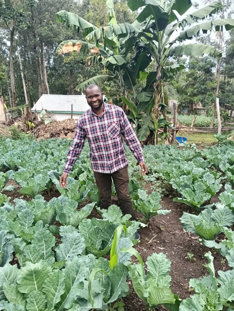 A Waweza staff member in the farm's cabbage garden