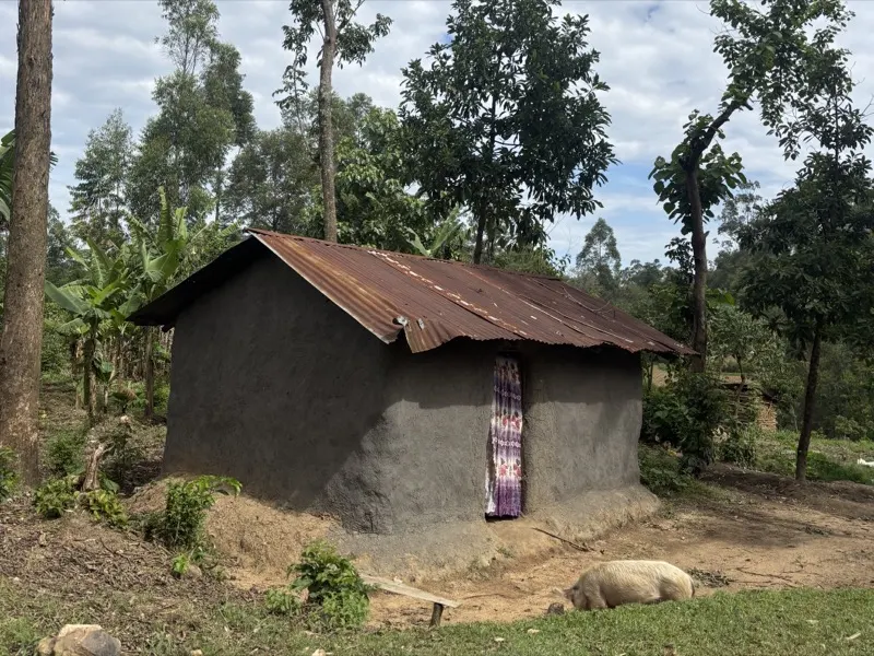 A typical home in rural Kakamega